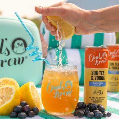 Sun Tea & Vodka Variety Bundle (16 Cans)